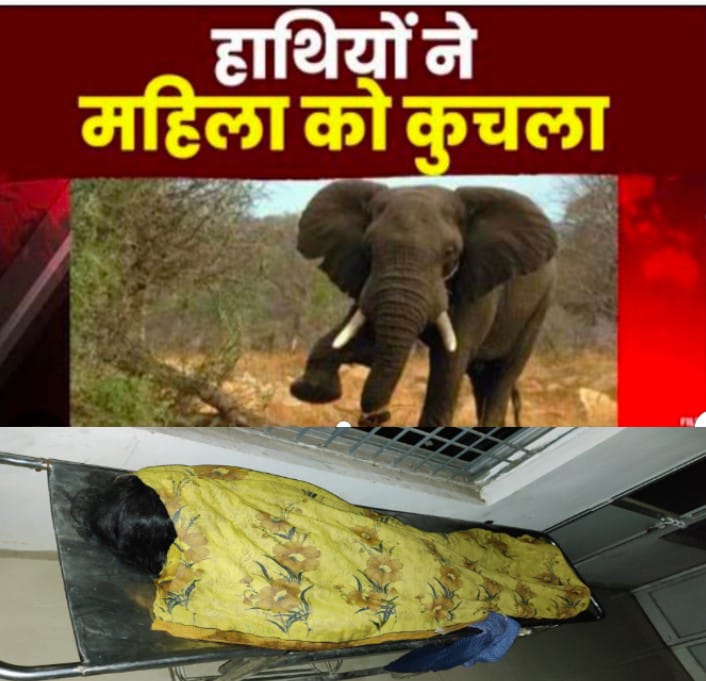 हाथी के हमले से दो महिलाओं की दर्दनाक मौत, गांव में दहशत का माहौल….